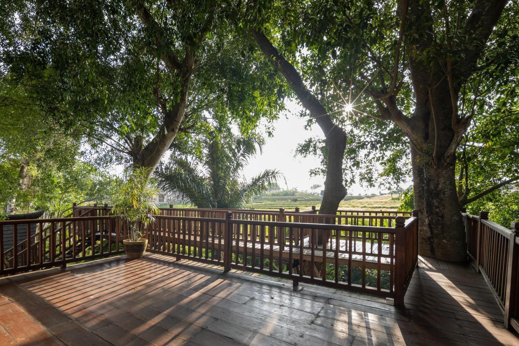 קנגו Paripadi Private Villa And Sanctuary מראה חיצוני תמונה