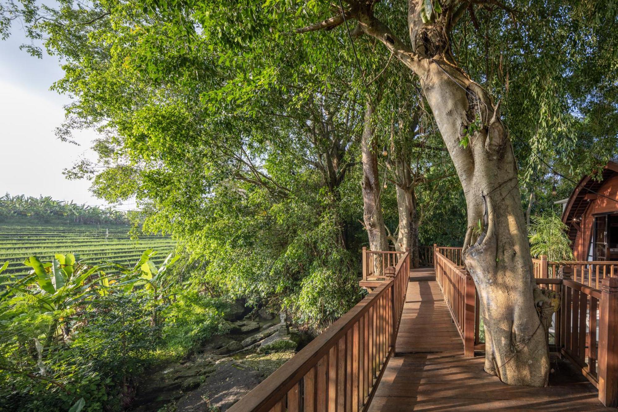 קנגו Paripadi Private Villa And Sanctuary מראה חיצוני תמונה
