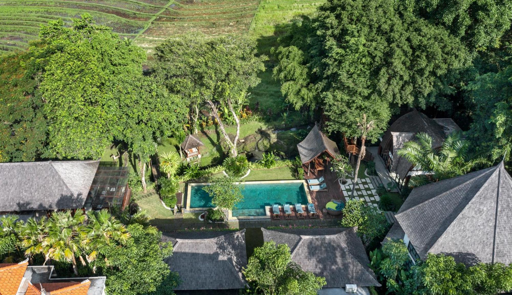 קנגו Paripadi Private Villa And Sanctuary מראה חיצוני תמונה