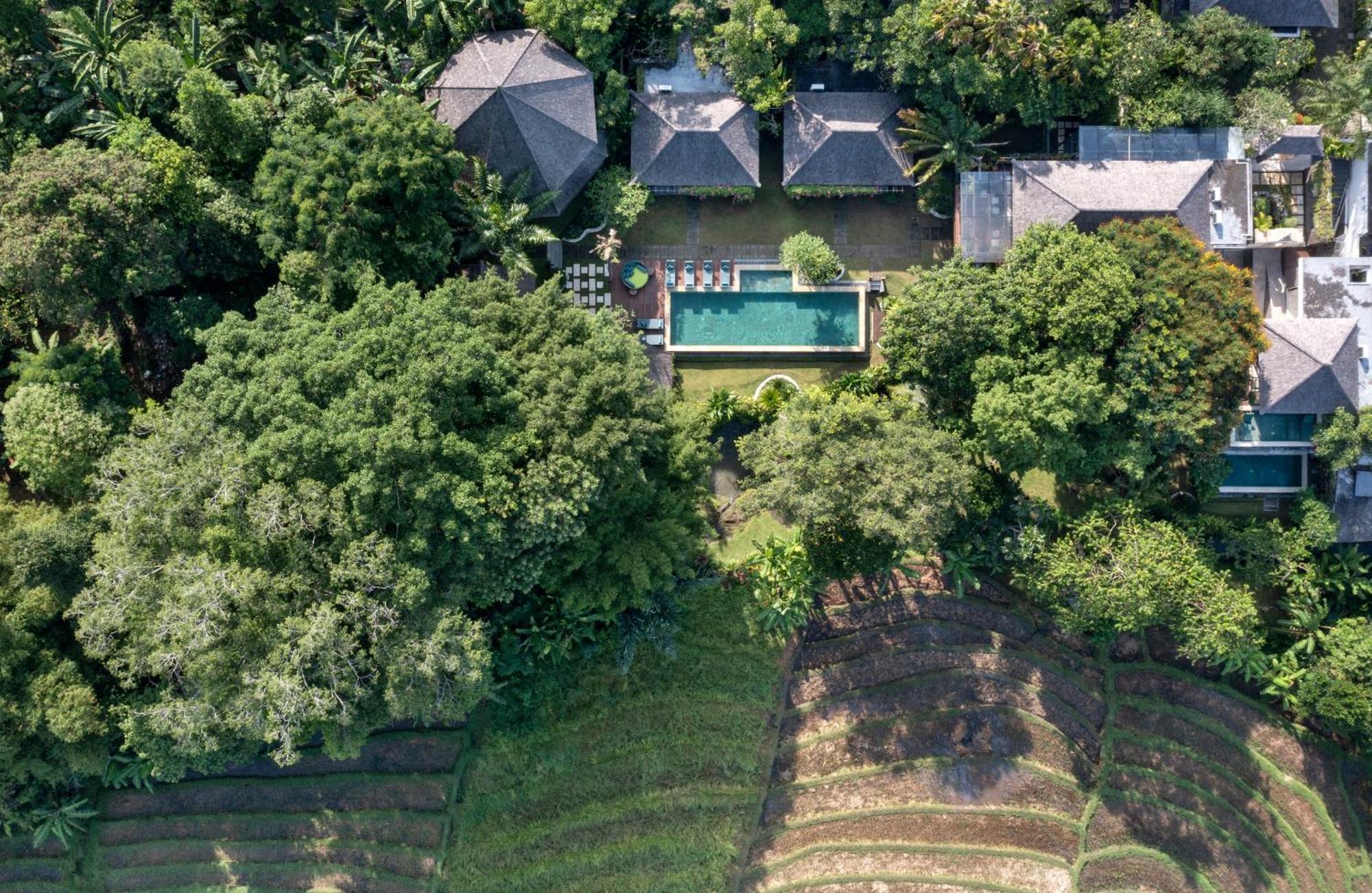 קנגו Paripadi Private Villa And Sanctuary מראה חיצוני תמונה