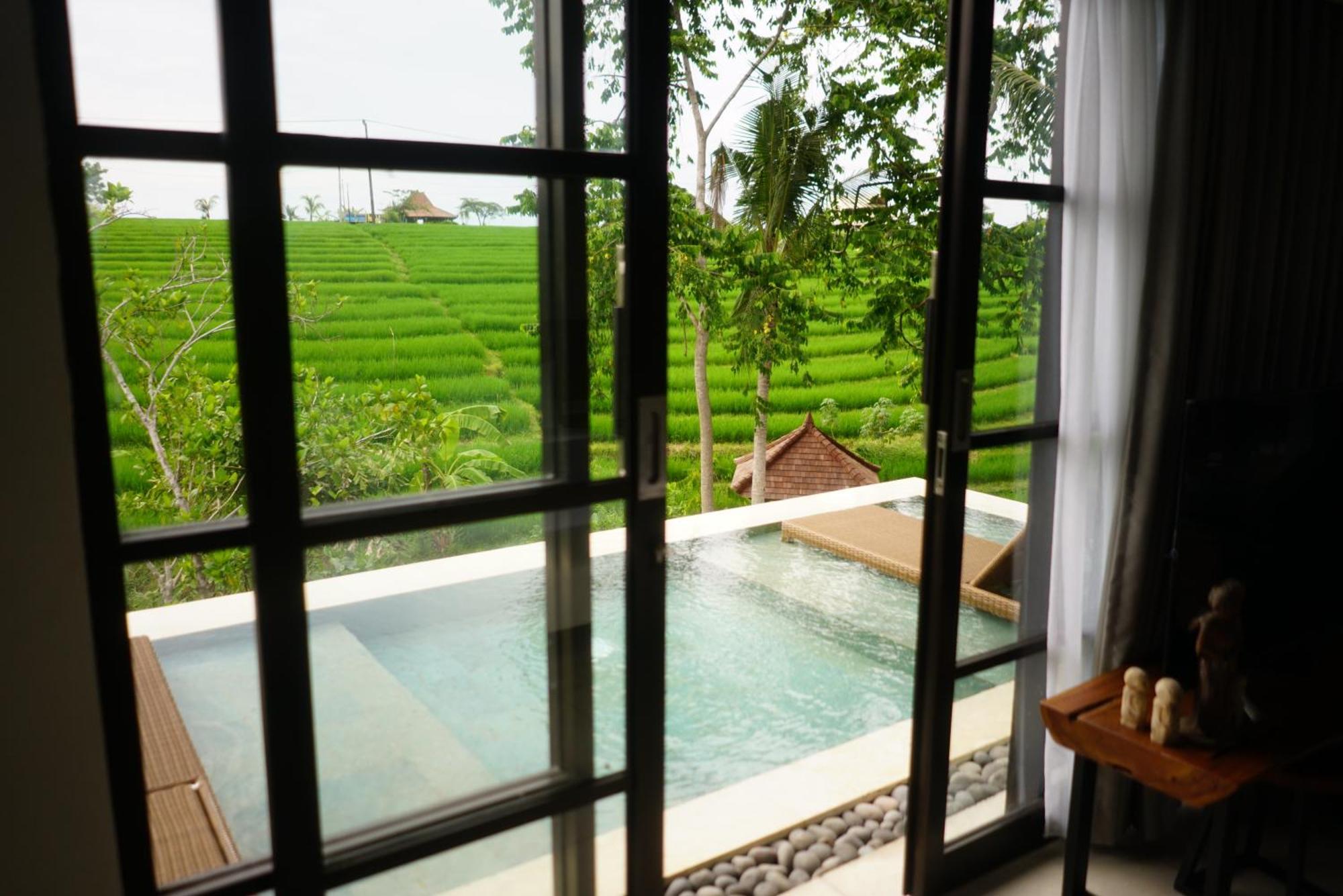 קנגו Paripadi Private Villa And Sanctuary מראה חיצוני תמונה