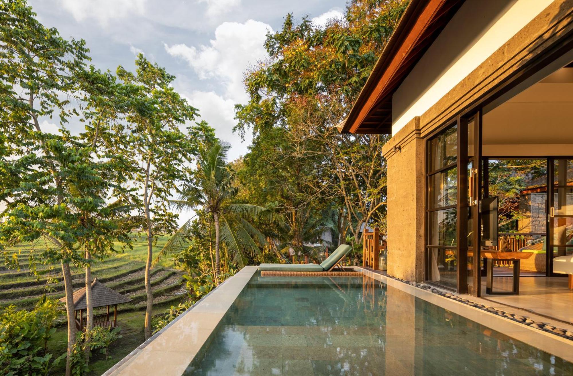 קנגו Paripadi Private Villa And Sanctuary מראה חיצוני תמונה